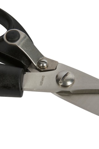 Ciseaux à viande et à volaille avec lames en acier inoxydable - Masterclass