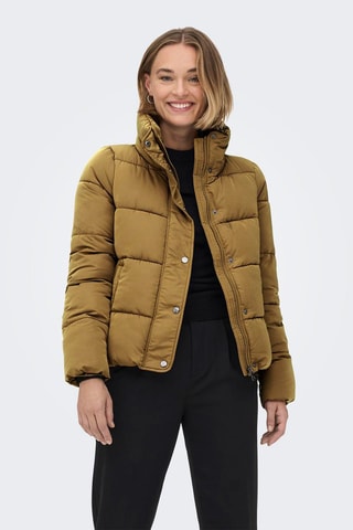 Gewatteerde Jassen - Bruin