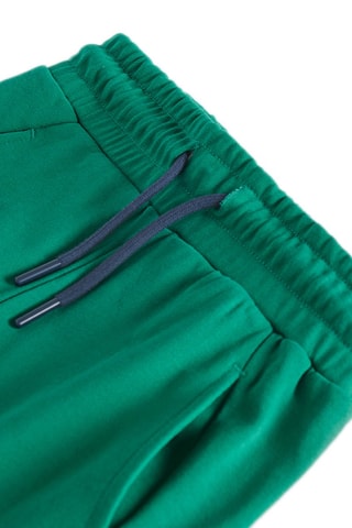 Jogging Minecraft - Vert