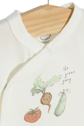 2 bodys en coton biologique - Beige et écru