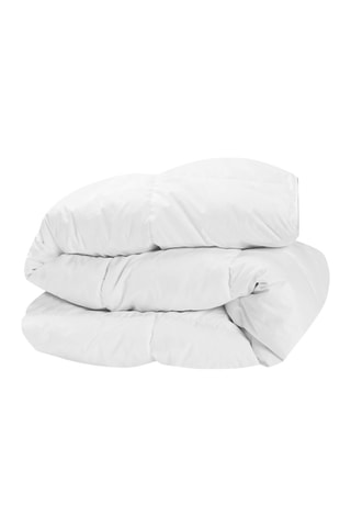 Couette extra chaude plumes d'oie - anti-acariens - polyester 500 g/m²