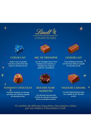 Lindt Champs-Elysées - 469 g
