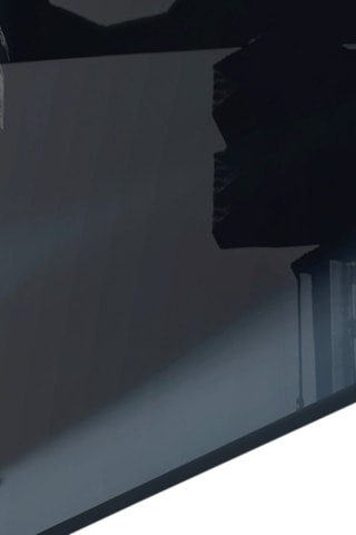 Tableau en verre trempé Gorilla Bro