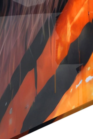 Tableau en verre trempé Face of the Tiger