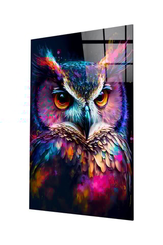 Tableau en verre trempé Owl's Eye 