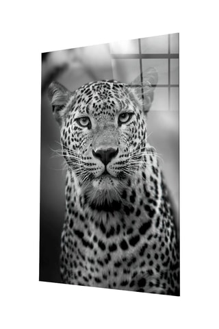 Tableau en verre trempé Leopar 