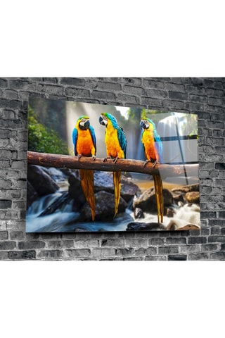 Tableau en verre trempé 3 perroquets