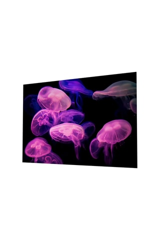Tableau en verre trempé Jellyfish 