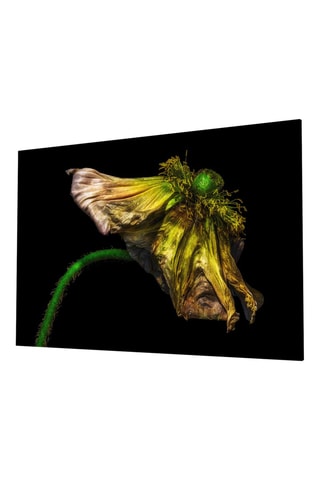 Tableau en verre trempé Flower