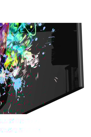 Tableau en verre trempé Couleurs et Crâne