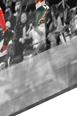 Tableau en verre trempé NBA All Stars Glass Wall Art