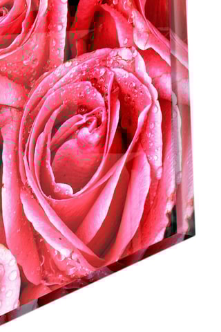 Tableau en verre trempé Pink Rose 