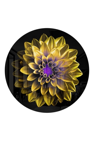 Tableau en verre trempé Fleur