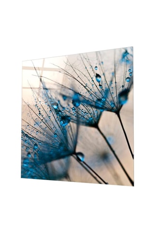 Tableau en verre trempé Fleurs