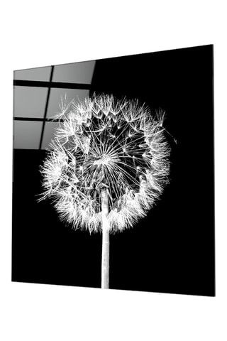 Tableau en verre trempé Pissenlit