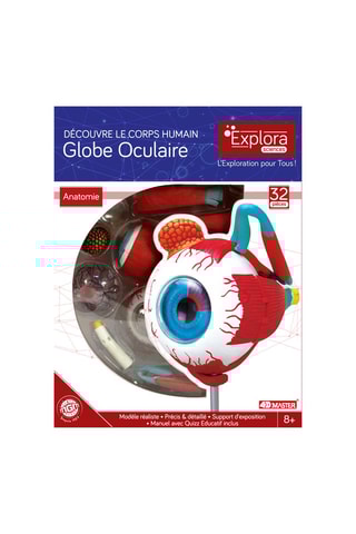 Modèle anatomique du globe oculaire - Dès 8 ans