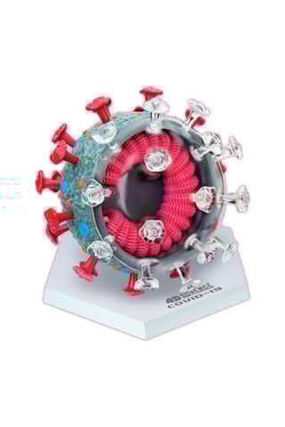 Modèle anatomique Covid-19 - Dès 8 ans