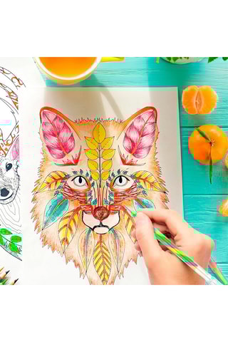 12 marqueurs - Multicolore