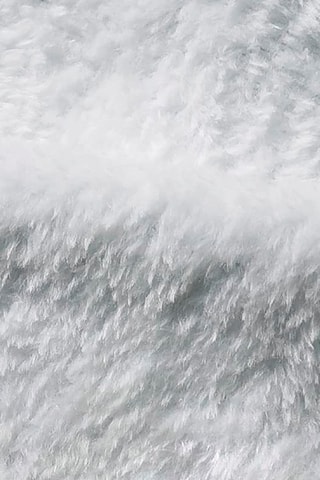 Plaid œuf au plat - 120 cm - Jaune et blanc