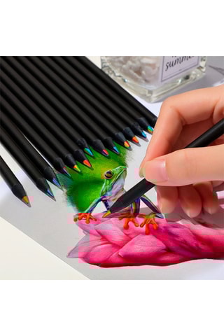 12 crayons de couleurs - Multicolore