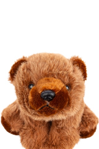 Peluche ours