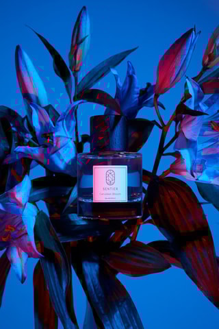 Cerulean Bloom Sentier - Eau de parfum 100 ml