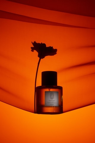 Notes of Rêverie sans alcool - Eau de parfum 100 ml