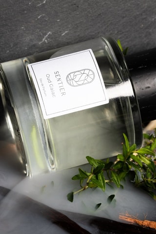 Oud Gaiac Sentier Eau de parfum 100 ml