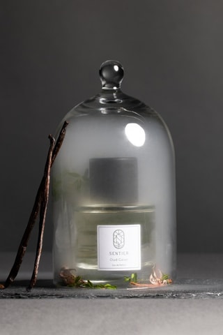 Oud Gaiac Sentier Eau de parfum 100 ml