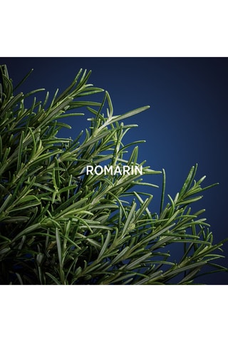 L’homme Daniel Hechter - Eau de Toilette 90 ml