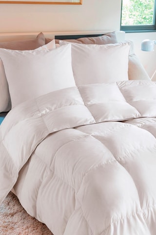 Couette extra chaude plumes d'oie - anti-acariens - polyester 500 g/m² + oreiller(s) moelleux 500 g/m²