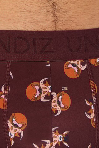 Boxer Repeatiz - Bordeaux et marron