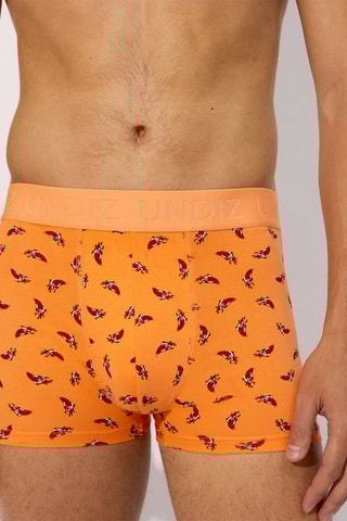 Boxer Repeatiz - Jaune