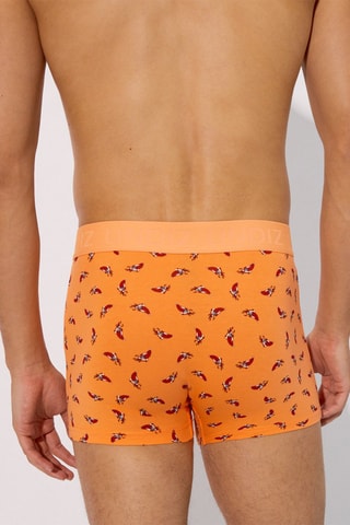 Boxer Repeatiz - Jaune