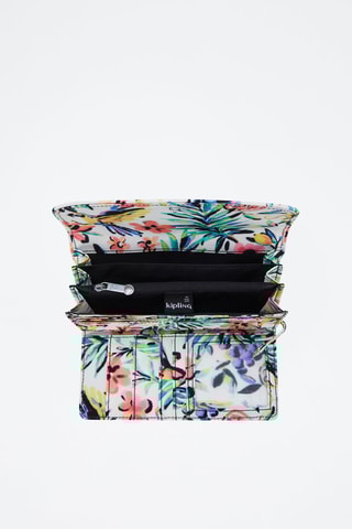 Compagnon Money Land - Blanc et corail