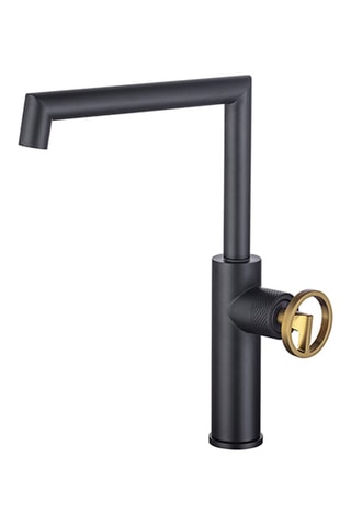 Mitigeur pour évier Arius