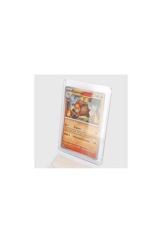 Phoenix Shield - Boîte de 25 protections