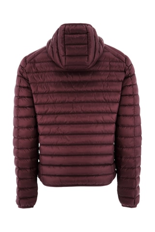 Doudoune à capuche Nico - Bordeaux