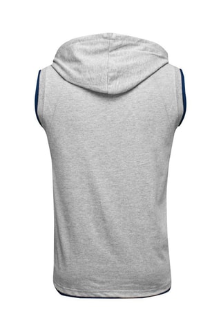 Sweat com capuz Epperson Cinzento - Benlee