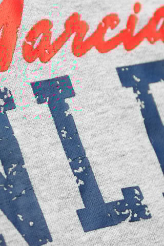 Sweat com capuz Epperson Cinzento - Benlee