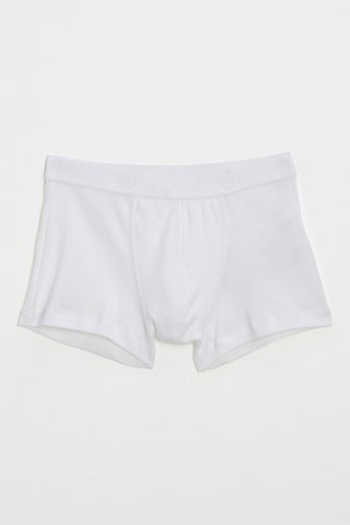 Boxer - Blanc