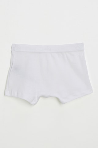 Boxer - Blanc