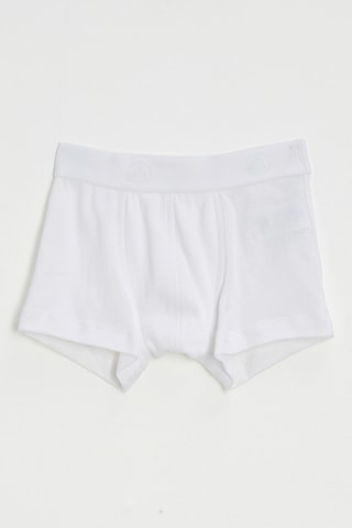 Boxer - Blanc