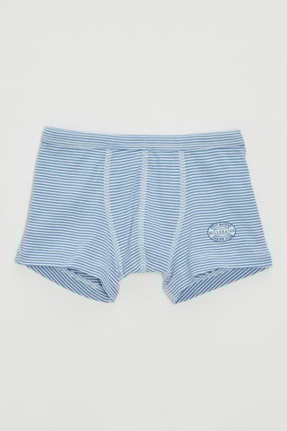 Boxer - Ciel et blanc