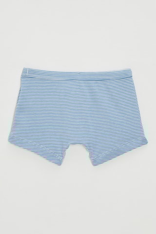 Boxer - Ciel et blanc