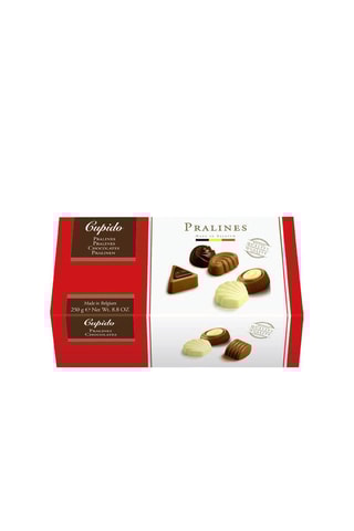 2 x 	Ballotin chocolats belge assortis - 250 g