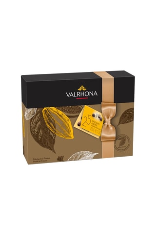 Coffret de 25 bonbons de chocolat - 230 g