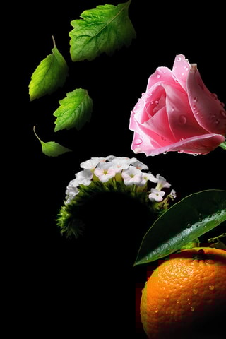 Promise me Mauboussin - Eau de parfum 90 ml - Chypré moderne