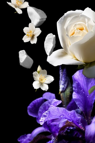 Le Secret d'Arielle Mauboussin - Eau de parfum 50 ml - Floral