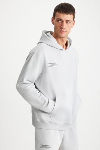 Sweat com capuz polar - Cinzento-claro